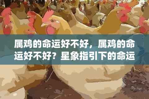 属鸡人的命运解析,星象指引下的好运与挑战