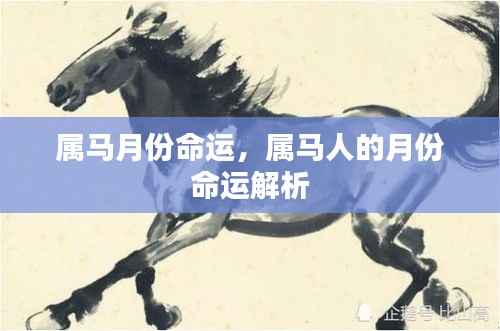 属马人的月份命运解析,揭示不同月份的命运走向