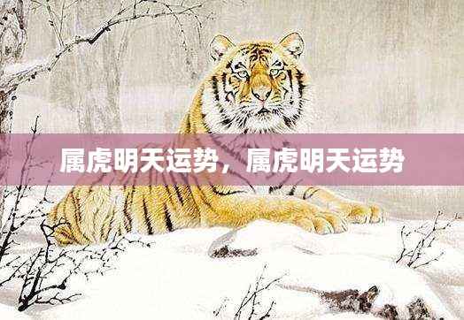 属虎明日运势预测
