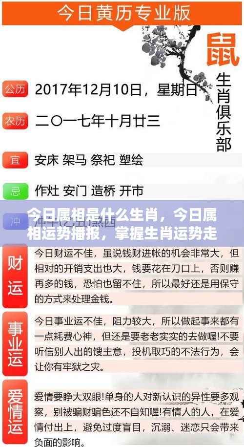 今日生肖运势播报,掌握生肖运势走向与属相运势分析