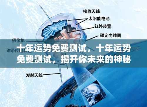 十年运势揭秘，免费测试揭示你未来的神秘面纱