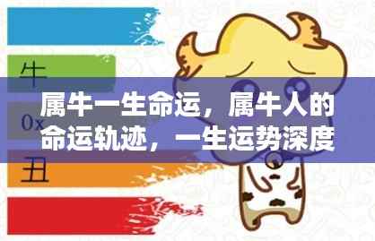 属牛人的命运深度解析,一生运势轨迹与命运轨迹展望