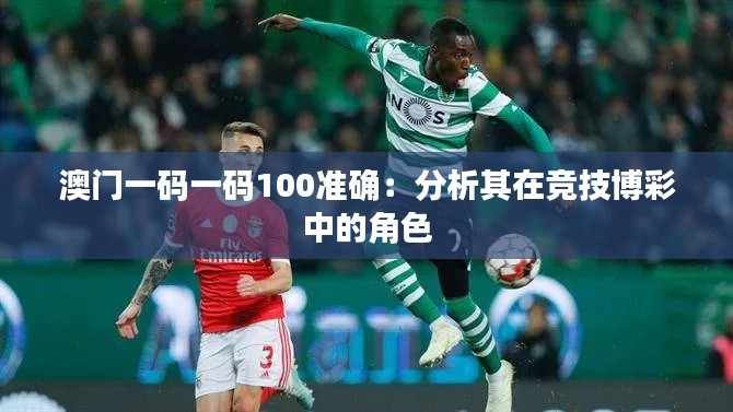澳门一码一码100准确:分析其在竞技博彩中的角色