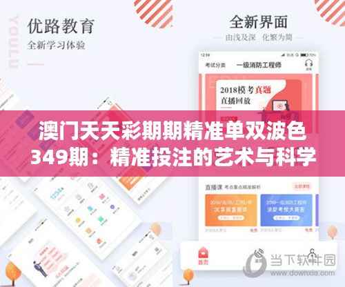 澳门天天彩期期精准单双波色349期：精准投注的艺术与科学