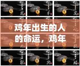 鸡年出生者的命运轨迹探寻,星象背后的命运启示