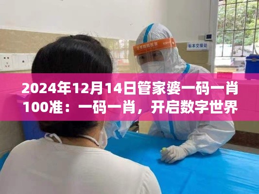 2024年12月14日管家婆一码一肖100准:一码一肖,开启数字世界的大门
