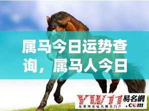 属马今日运势详解,运势查询与解析全攻略