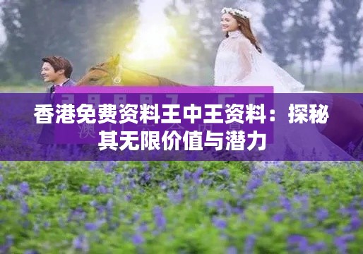 香港免费资料王中王资料:探秘其无限价值与潜力