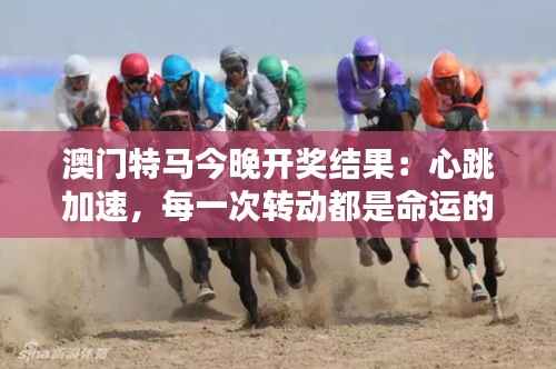 澳门特马今晚开奖结果：心跳加速，每一次转动都是命运的转弯