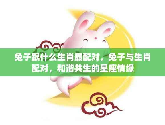 兔子生肖的最佳配对生肖与和谐星座情缘解析