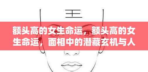 额头高的女生命运,面相中的潜藏玄机与人生轨迹揭秘