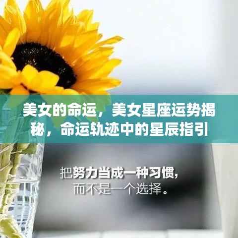 五光十色 第6页