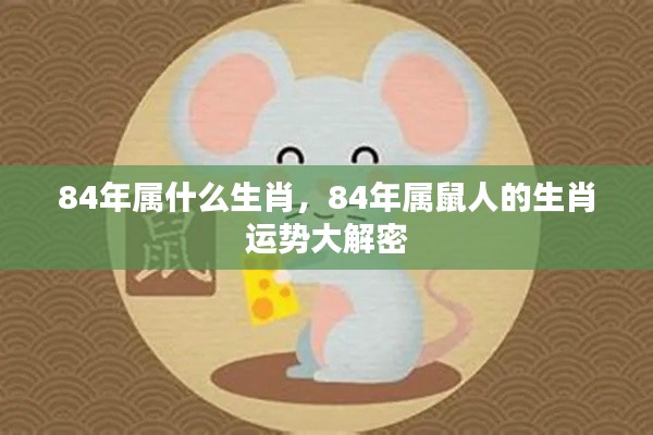 揭秘，1984年属鼠人的生肖运势全面解析