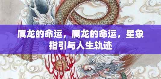 属龙的命运,星象指引下的属龙人生轨迹