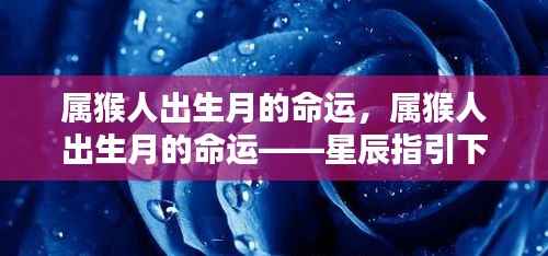星辰指引下的命运篇章，属猴人的出生月与命运解析