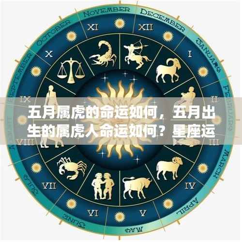 五月出生的属虎人命运深度解析,星座运势与命运探讨