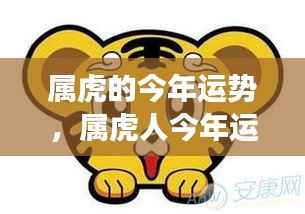 属虎人运势解析,今年运势走向全面解读