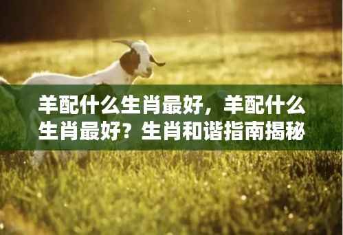 羊配什么生肖最佳？生肖配对和谐指南解密