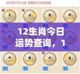今日12生肖运势查询,洞悉未来,掌握好运
