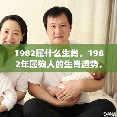 1982年属狗人的挑战与机遇并存，生肖运势解析