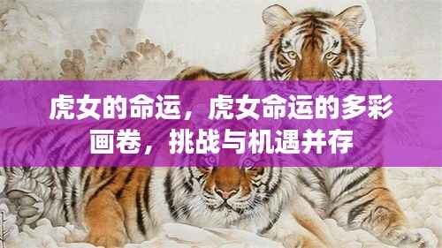 虎女命运的多彩挑战与机遇画卷