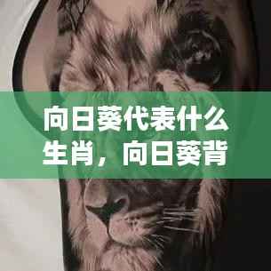 揭秘生肖与星座之谜，向日葵背后的生肖秘密与生肖与星座的奇妙联系探索