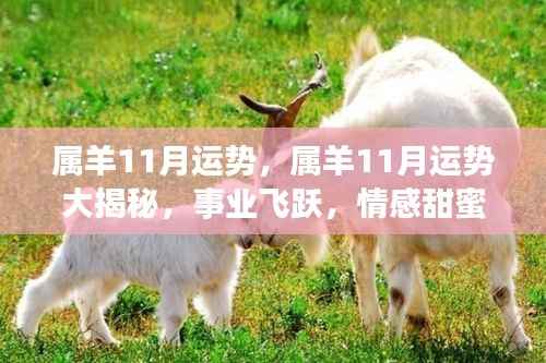 属羊人11月运势展望，事业飞跃与情感甜蜜大揭秘