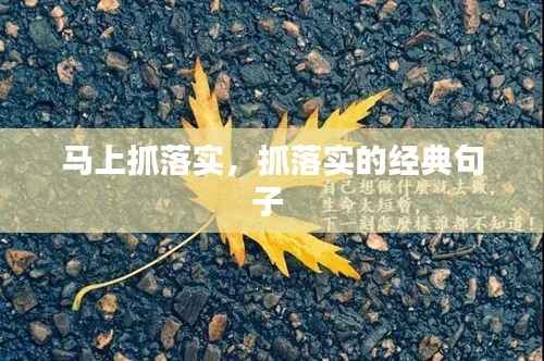马上抓落实,抓落实的经典句子