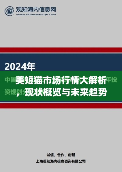 美短猫市场行情大解析,现状概览与未来趋势展望
