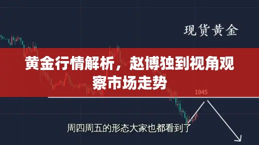 黄金行情解析,赵博独到视角观察市场走势