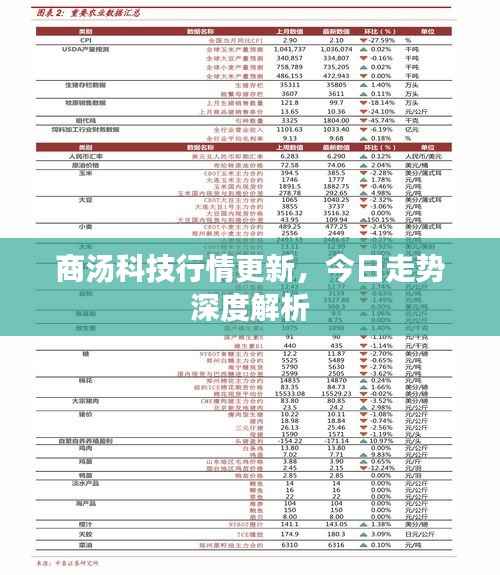 粗枝大叶 第4页