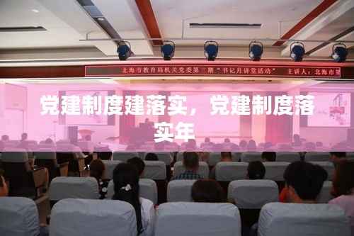 党建制度建落实，党建制度落实年 