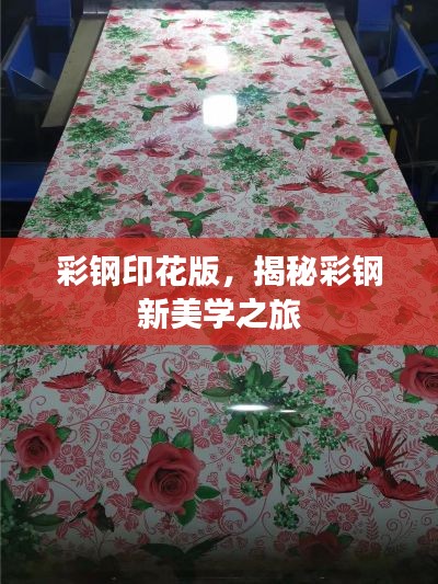彩钢印花版,揭秘彩钢新美学之旅